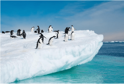 Antarctic Transformation: Global Implications of Dramatic Changes